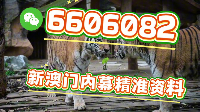 澳門今晚必開一肖一特，探索生肖彩票的魅力與預(yù)測(cè)，澳門生肖彩票探索，魅力揭秘與今晚預(yù)測(cè)一肖一特