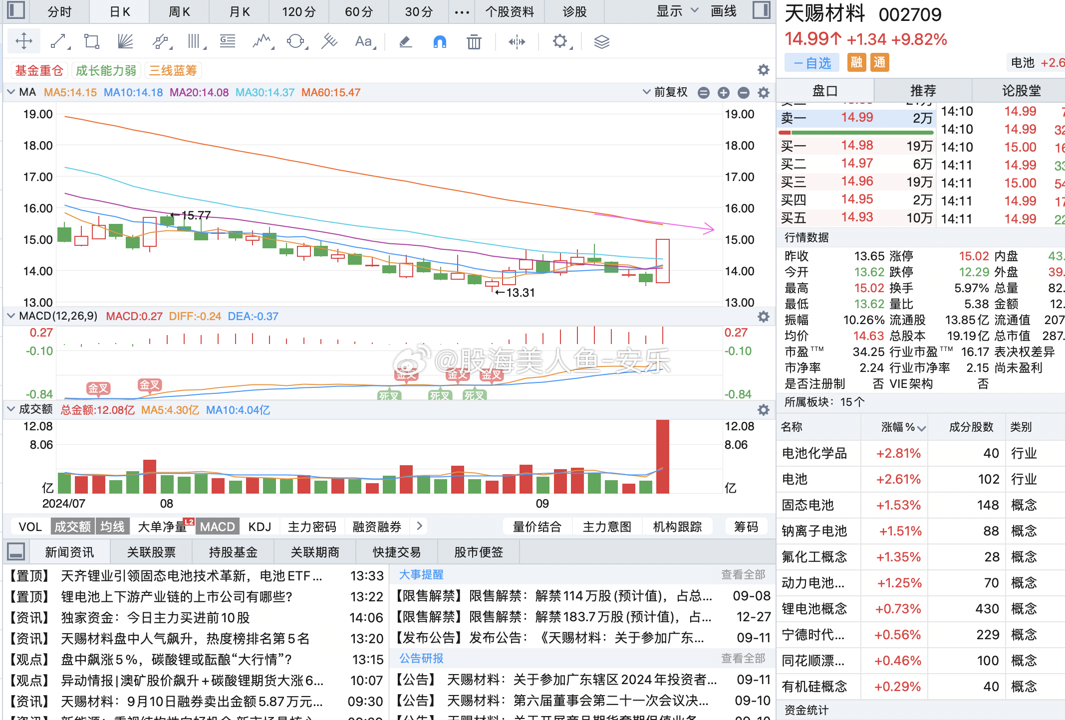 深度解析與前景展望（或代碼002709）