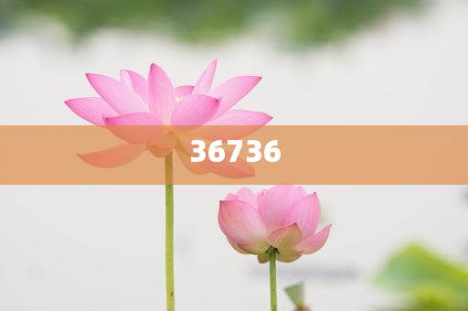 揭秘7777788888精準新傳真，真相大揭秘，揭秘精準新傳真背后的真相，77777與88888的神秘面紗被揭開