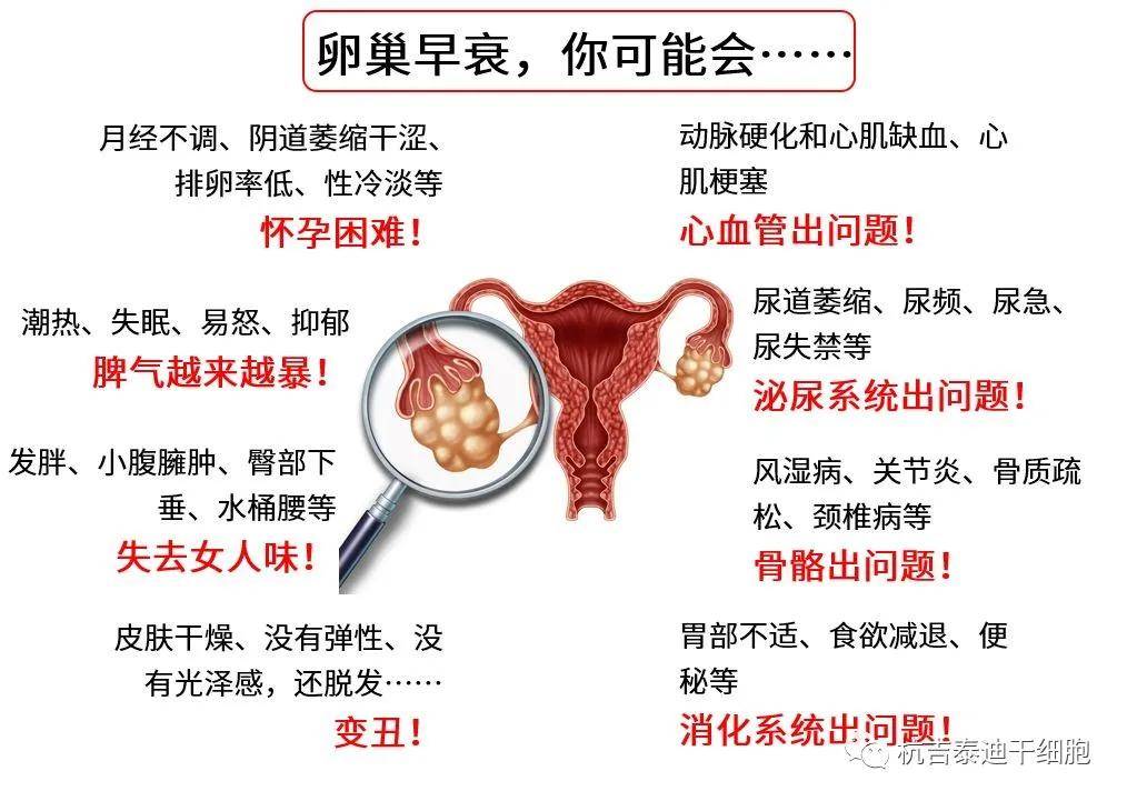 四十歲卵巢早衰能否調(diào)整回來？解讀卵巢早衰與應(yīng)對策略，四十歲卵巢早衰能否調(diào)整回來？解讀卵巢早衰現(xiàn)象及應(yīng)對策略