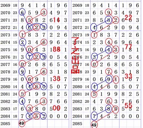 一肖一尾幾組二中二——揭秘生肖與數(shù)字之間的神秘聯(lián)系，揭秘生肖與數(shù)字間的神秘聯(lián)系，一肖一尾組合中二中二現(xiàn)象解析