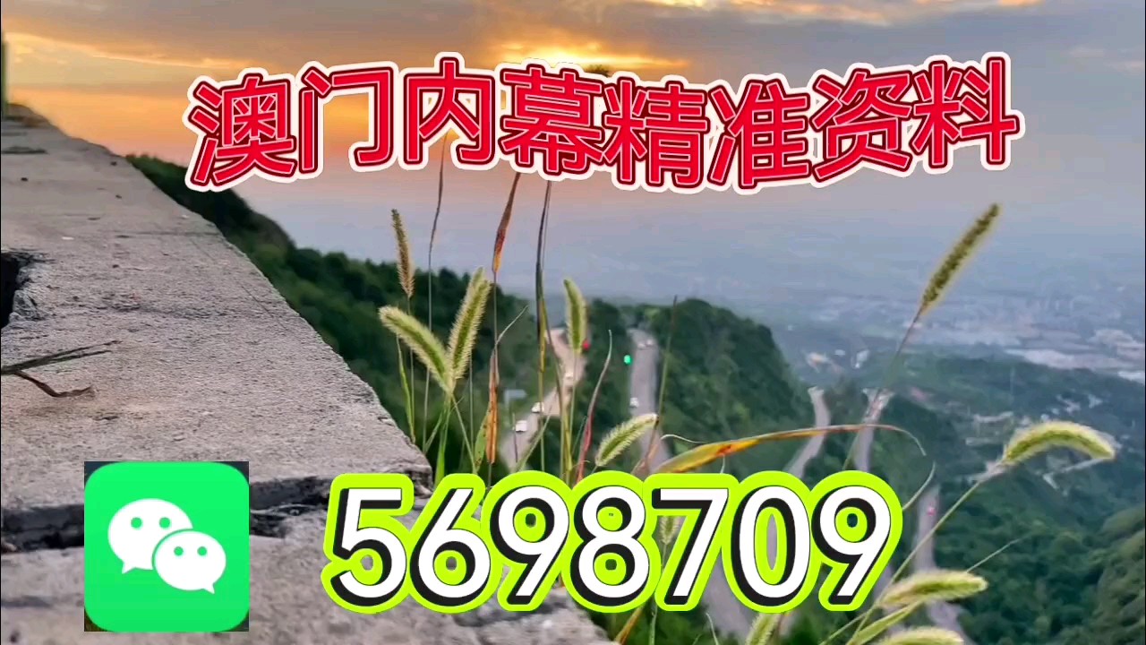 新澳天天開彩資料大全，探索彩票世界的奧秘，探索彩票世界奧秘，新澳天天開彩資料大全