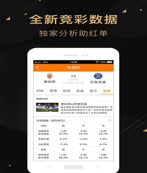 二肖二碼，深度解析與SEO優(yōu)化策略，二肖二碼深度解析與SEO優(yōu)化策略探討