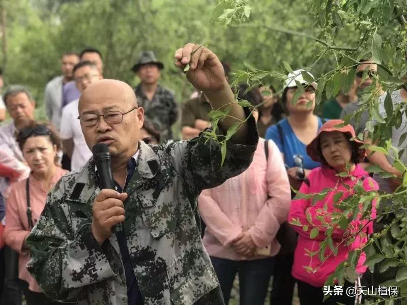 長(zhǎng)期吃紅棗的潛在害處，了解并平衡飲食健康，長(zhǎng)期食用紅棗的潛在風(fēng)險(xiǎn)與飲食平衡的重要性