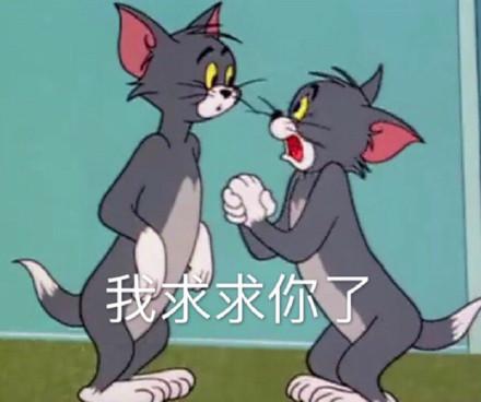 湯姆貓股票股吧，投資熱點(diǎn)與前景展望，湯姆貓股票股吧，投資熱點(diǎn)與未來(lái)前景展望