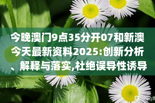 新澳今天最新資料，深度解讀與探索，新澳今日深度解讀與探索最新資料