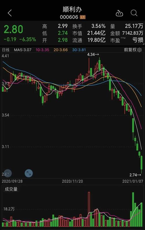 關于股票600205的全方位解析，股票600205全方位深度解析