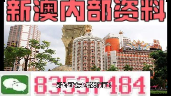 新澳新澳門正版資料，探索與解析，新澳新澳門正版資料深度解析與探索