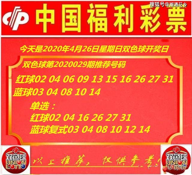 王中王029期指一生肖，揭秘生肖魅力與預(yù)測背后的秘密，揭秘生肖魅力與預(yù)測背后的秘密，王中王生肖預(yù)測第029期揭曉
