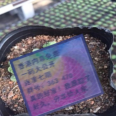 揭秘三肖賠多少錢——全面解析與指南，揭秘三肖賠款金額，全面解析與指南