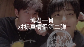 一肖拖一肖二中二有幾組——深度解析與探索，深度解析與探索，一肖拖一肖二中二有多少組組合？