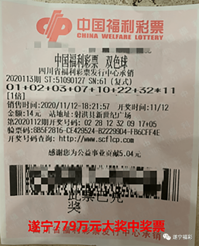 王中王遂寧平臺(tái)一肖中特，深度解析與SEO優(yōu)化策略，王中王遂寧平臺(tái)一肖中特深度解析與SEO優(yōu)化策略探討