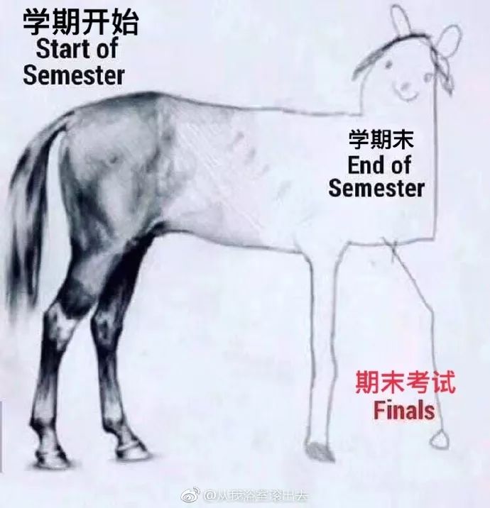 四不像一肖圖王中王是誰(shuí)——揭秘神秘人物背景，揭秘四不像一肖圖王中王神秘人物背景